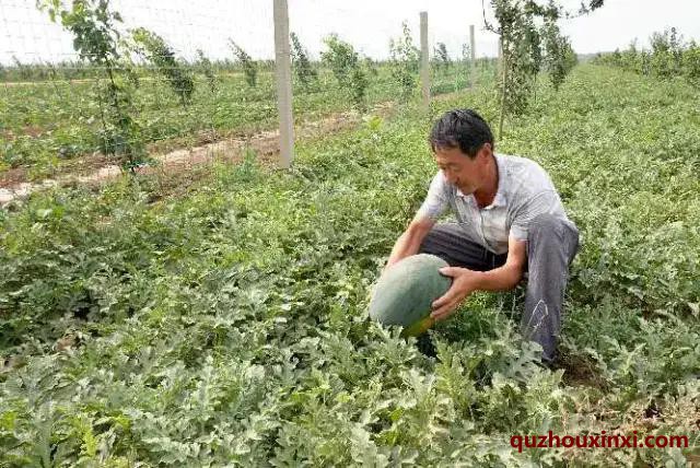 微信图片_20200615194422