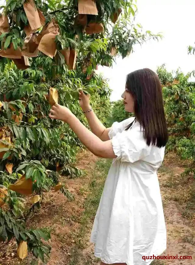 微信图片_20200615194400