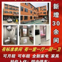 达康街公寓现新增，标准单间