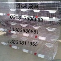 出售鸡笼 鸽笼 兔笼 鸟笼 狗笼 鹌鹑笼 鹧鸪笼 运输笼