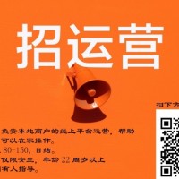 招聘电商运营经验不限