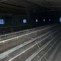 出售鸡笼子、刮粪机及磨料机上料机